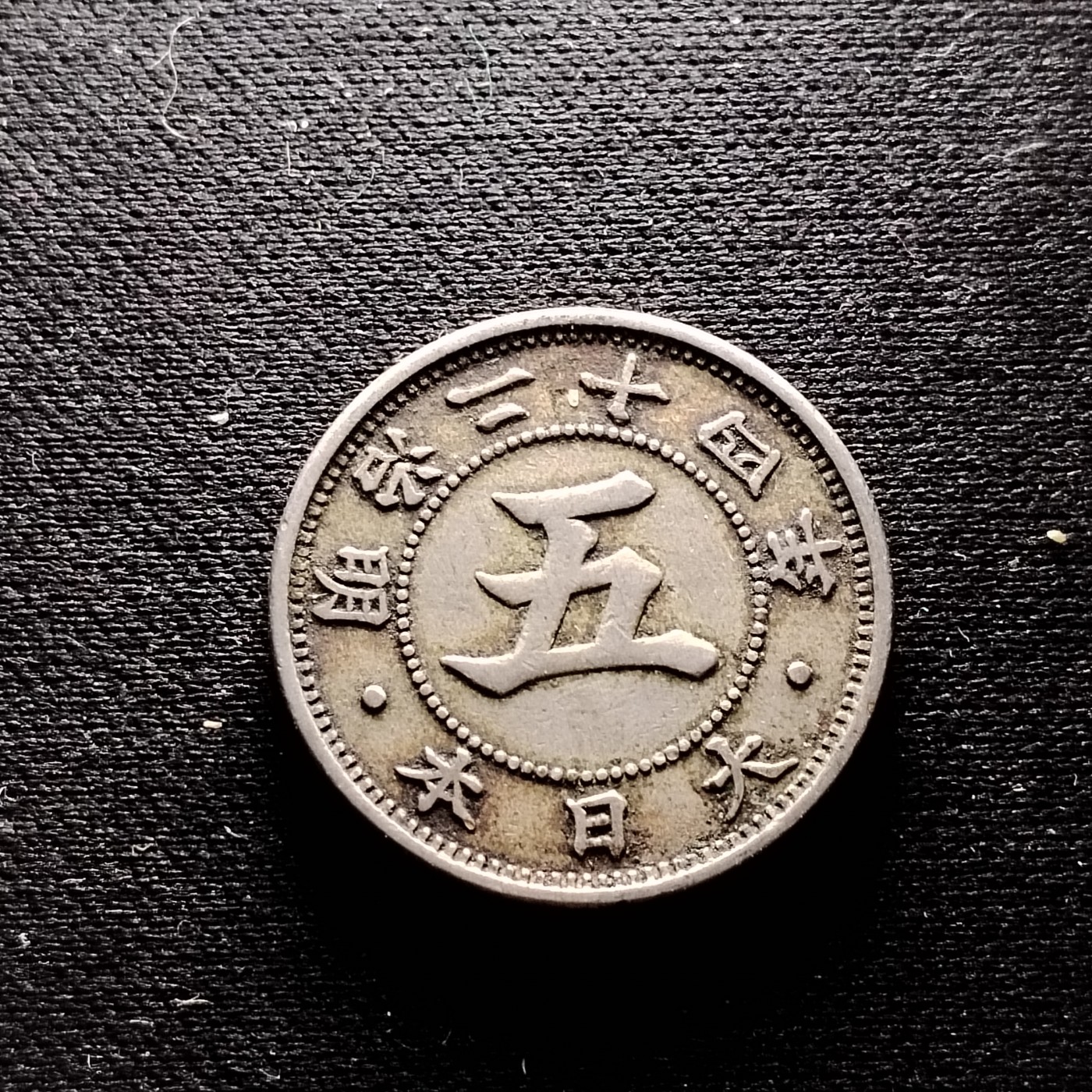231210 日本菊五钱