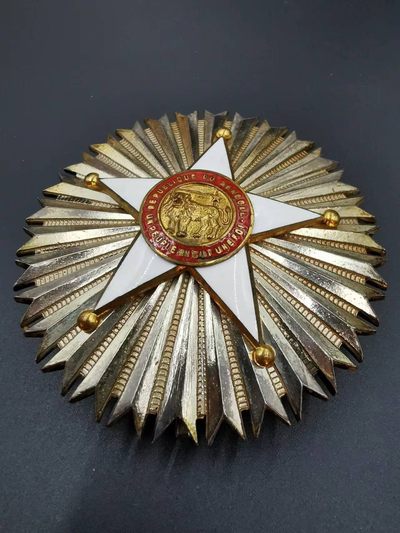 老王徽章拍卖第十八期 - 塞内加尔雄狮勋章星芒  重量127g，直径80mm，厚重压手