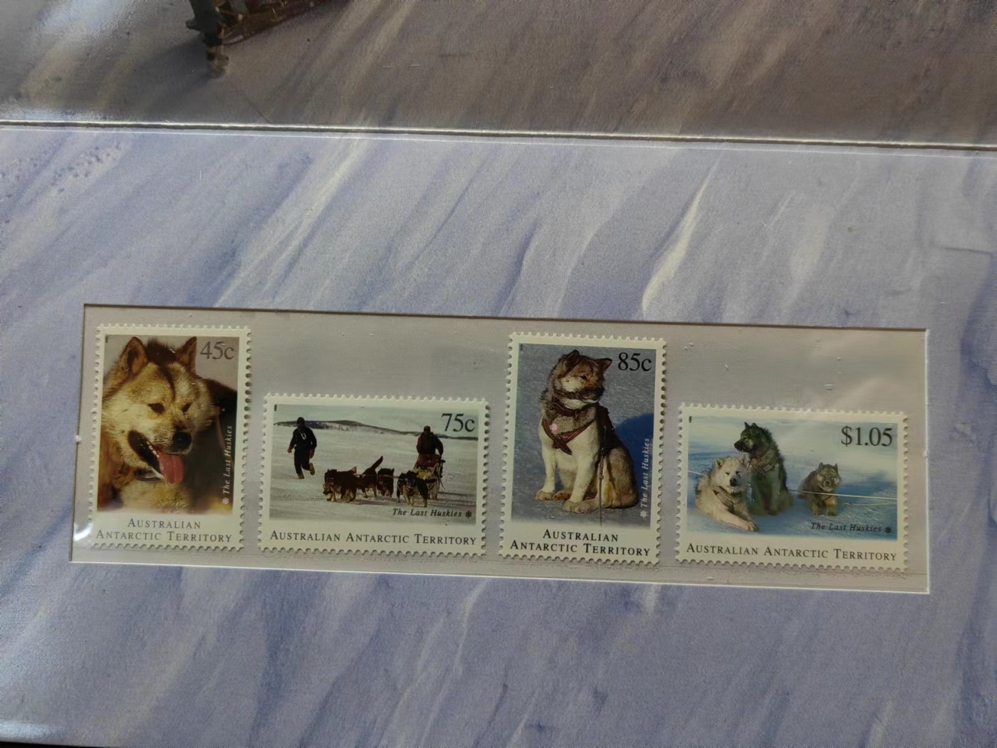 澳大利亚小邮本🔥💥（拍卖，澳小本票值高，值得收藏）专场 第③⑦场 澳属南极1994年 雪橇犬（全新无戳）