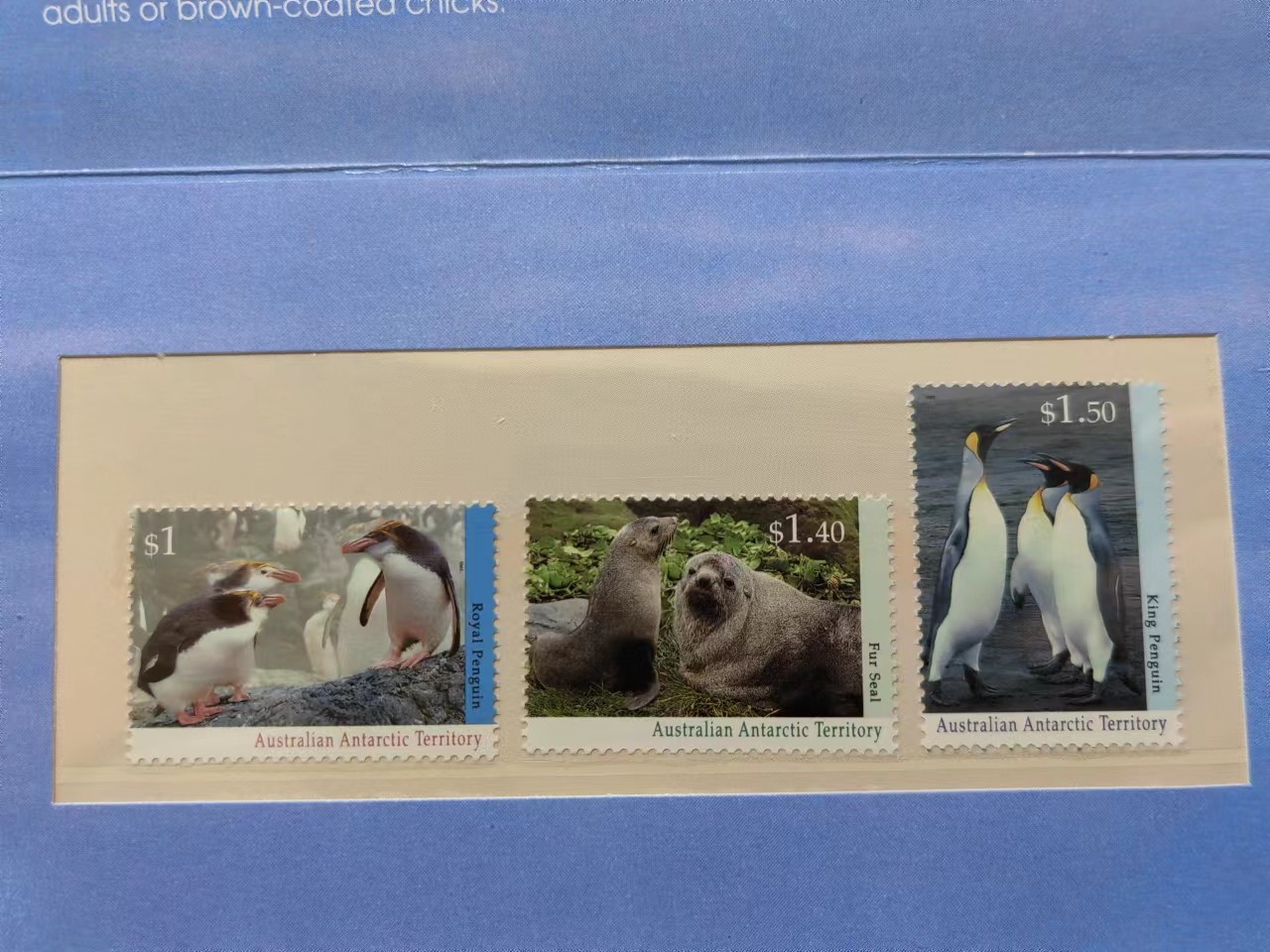 澳大利亚小邮本🔥💥（拍卖，澳小本票值高，值得收藏）专场 第③⑦场 澳属南极1993邮本 企鹅海狗（全新无戳）