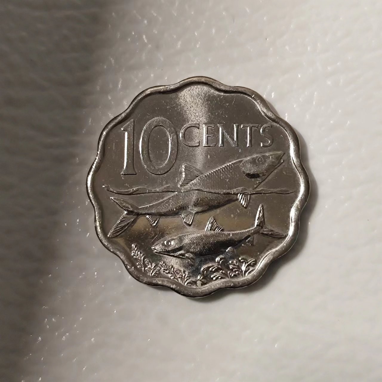 FCO-10 散币