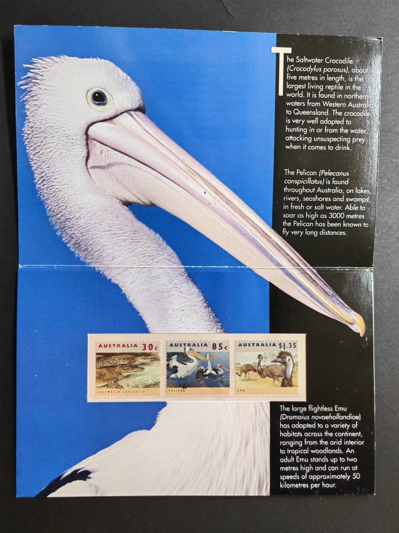 联合阁邮币社™ ——“澳大利亚小邮本专场” 澳大利亚1994年 澳洲本土动物（全新无戳）