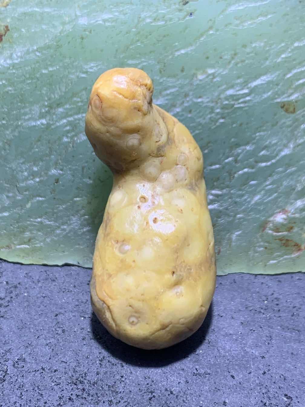 精美戈壁高玉化心脏形鱼籽纹筋脉石原石一颗，