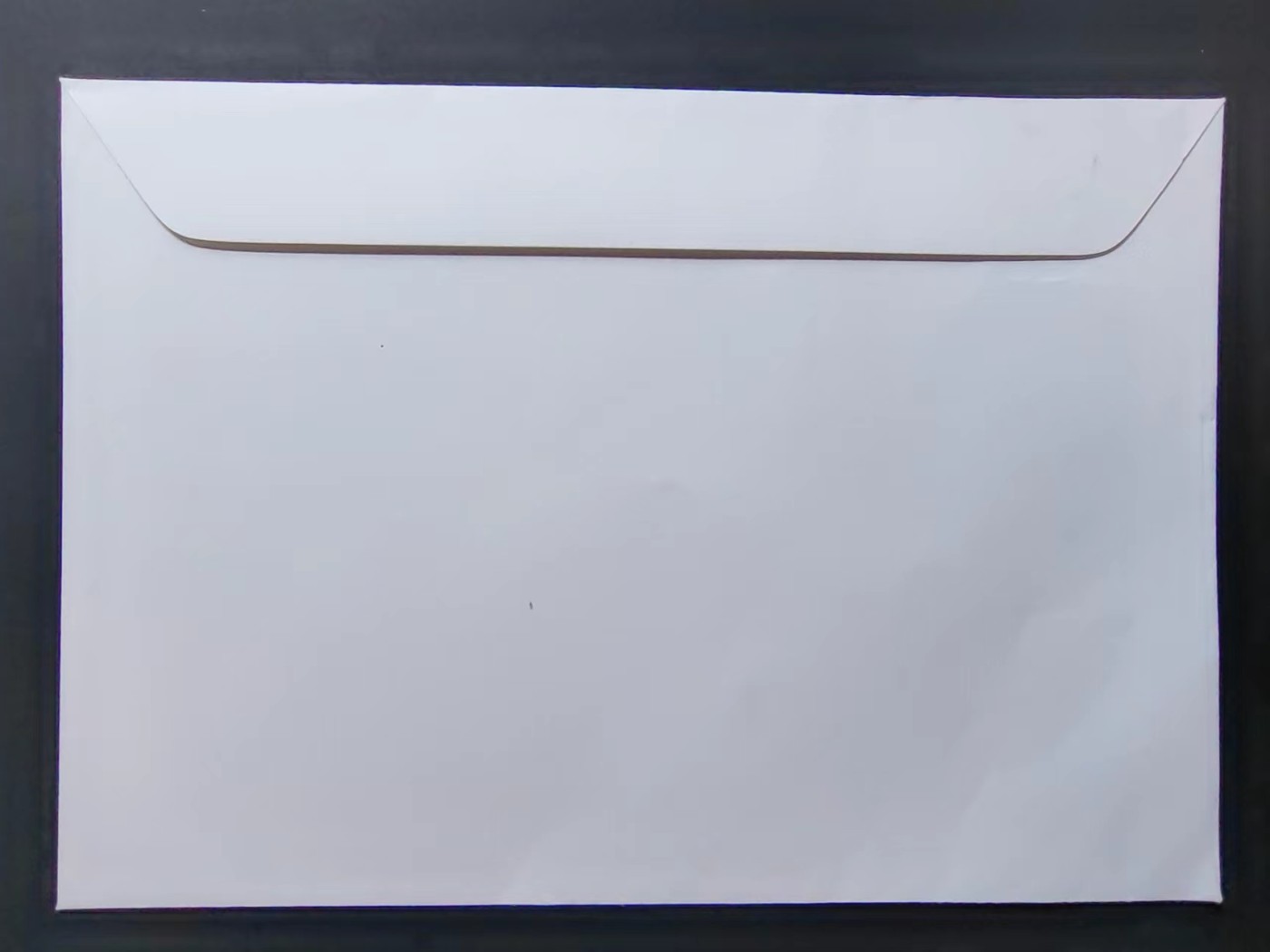 精选多國郵票品🔥💥（拍卖场）专场 第③⑧场 瑞士1999年 邮递员企鹅