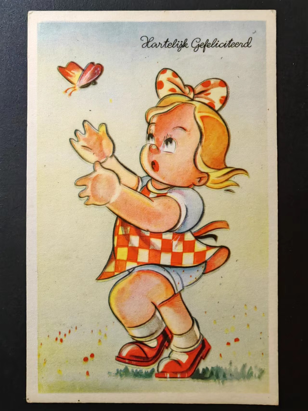 精选多國郵票品🔥💥（拍卖场）专场 第③⑧场 荷兰早期明信片