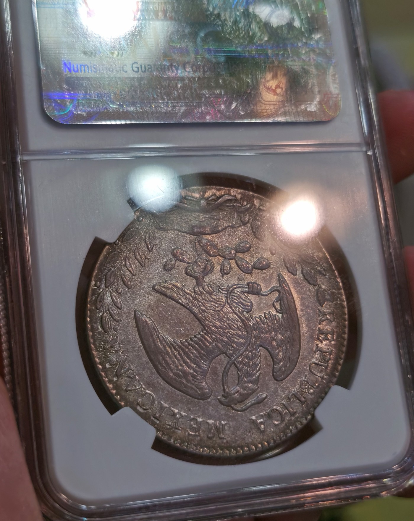 博洋堂世界钱币拍卖第056期（全场包邮） NGC MS63 墨西哥1860年MO TH版花边鹰洋，少见中期年份，传世倒影包浆，仙人掌有复打