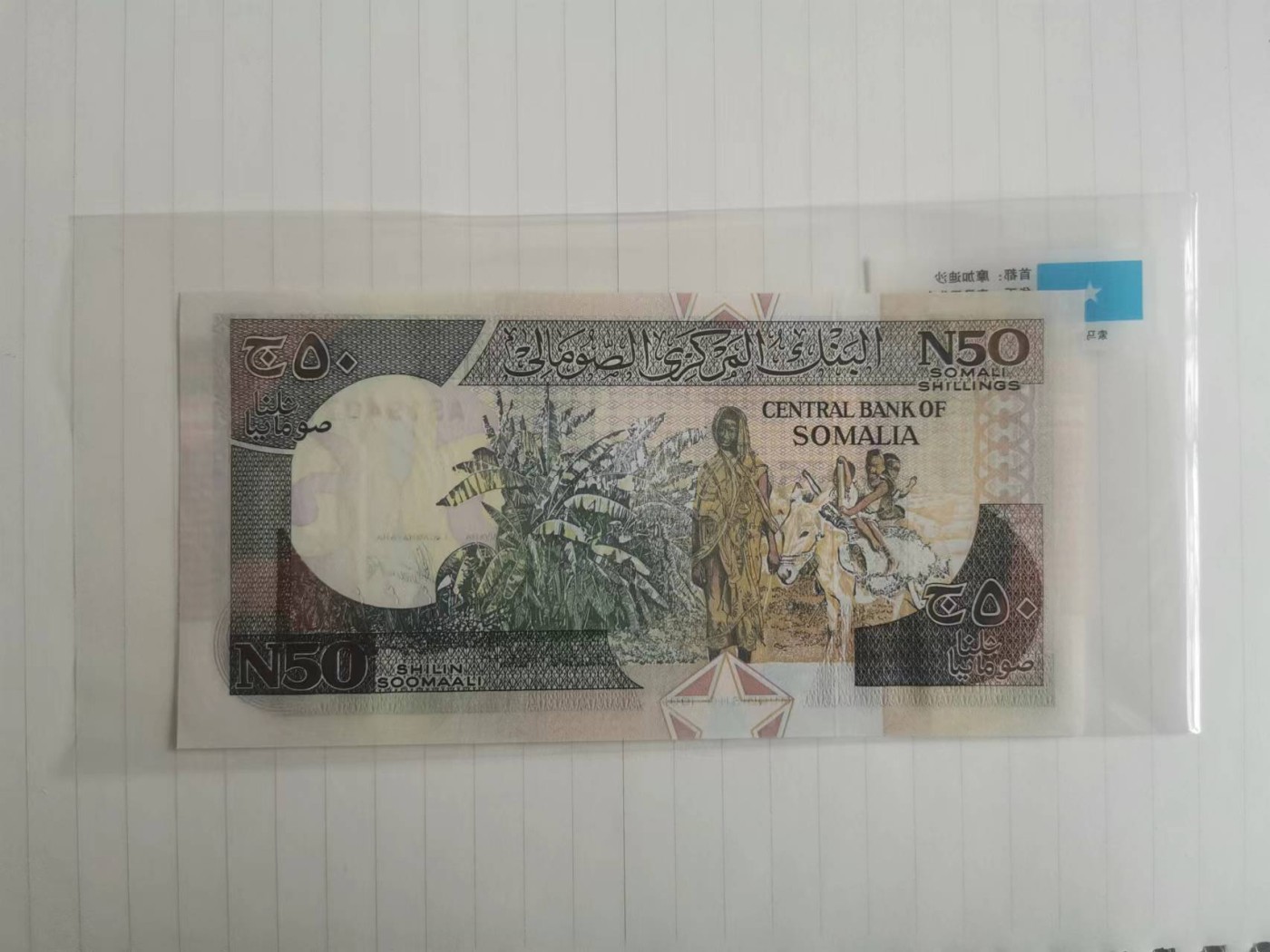 【易洋钱喜】第29场 国外硬币专场 索马里50先令