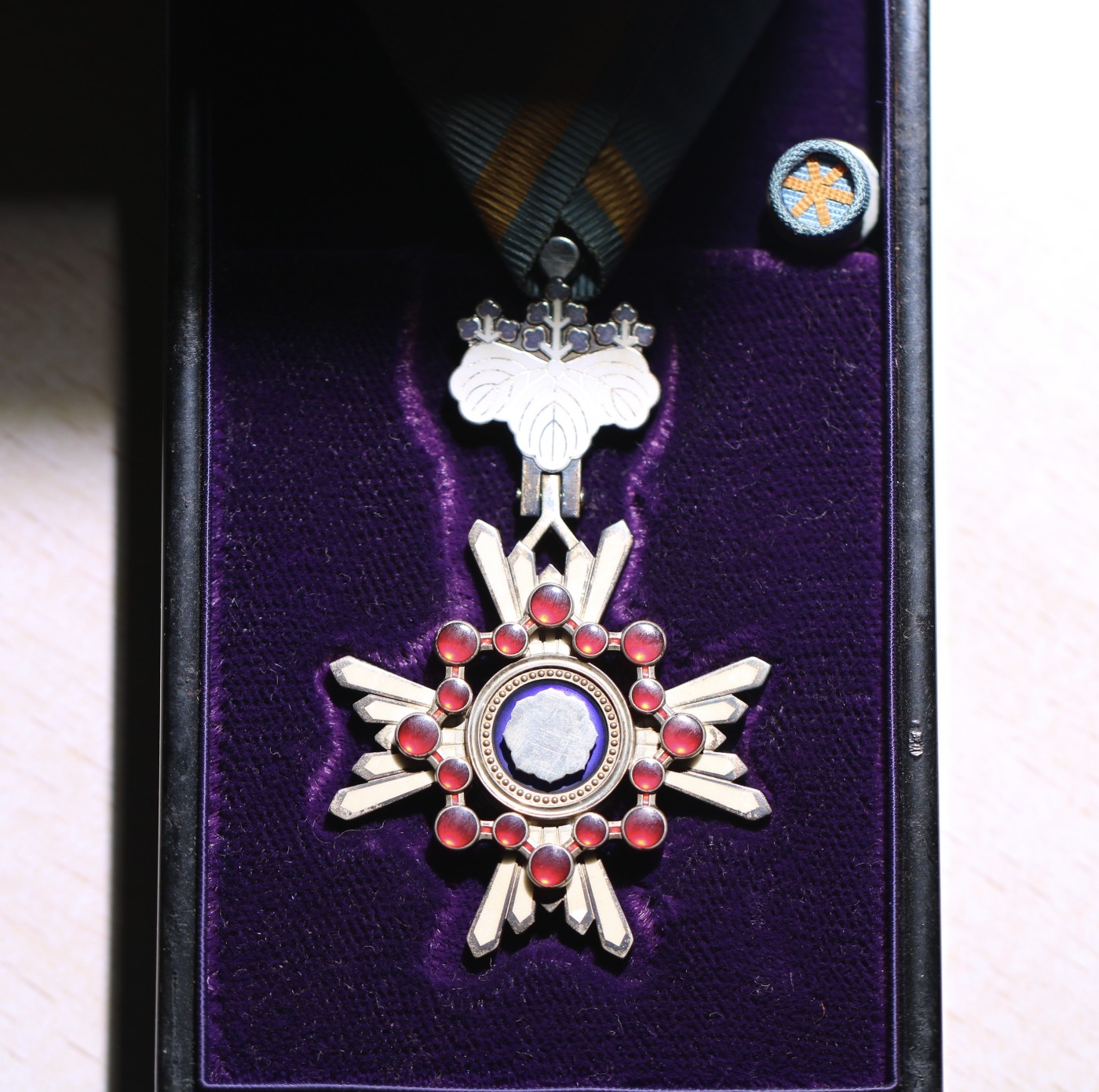 大猫徽章拍卖 第238期 瑞宝单光章 全品