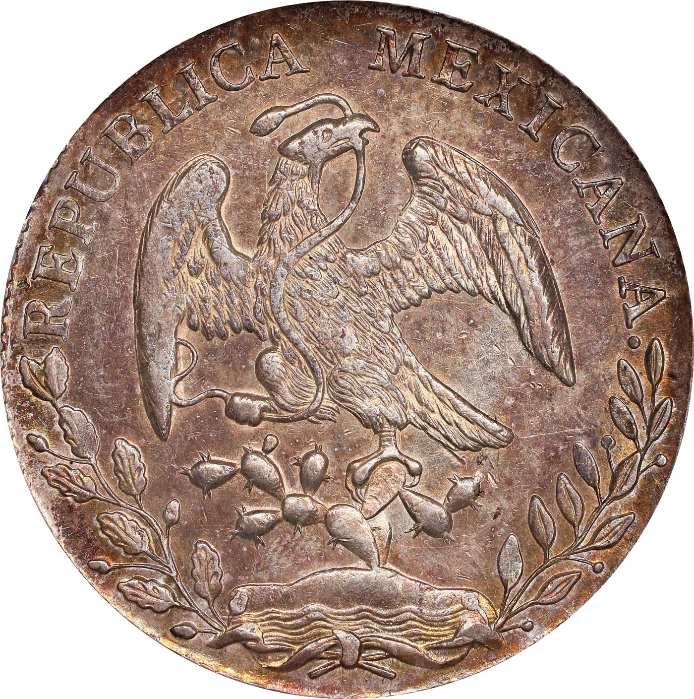 博洋堂世界钱币拍卖第056期（全场包邮） NGC MS63 墨西哥1896年MO AB版花边鹰洋，原味深打