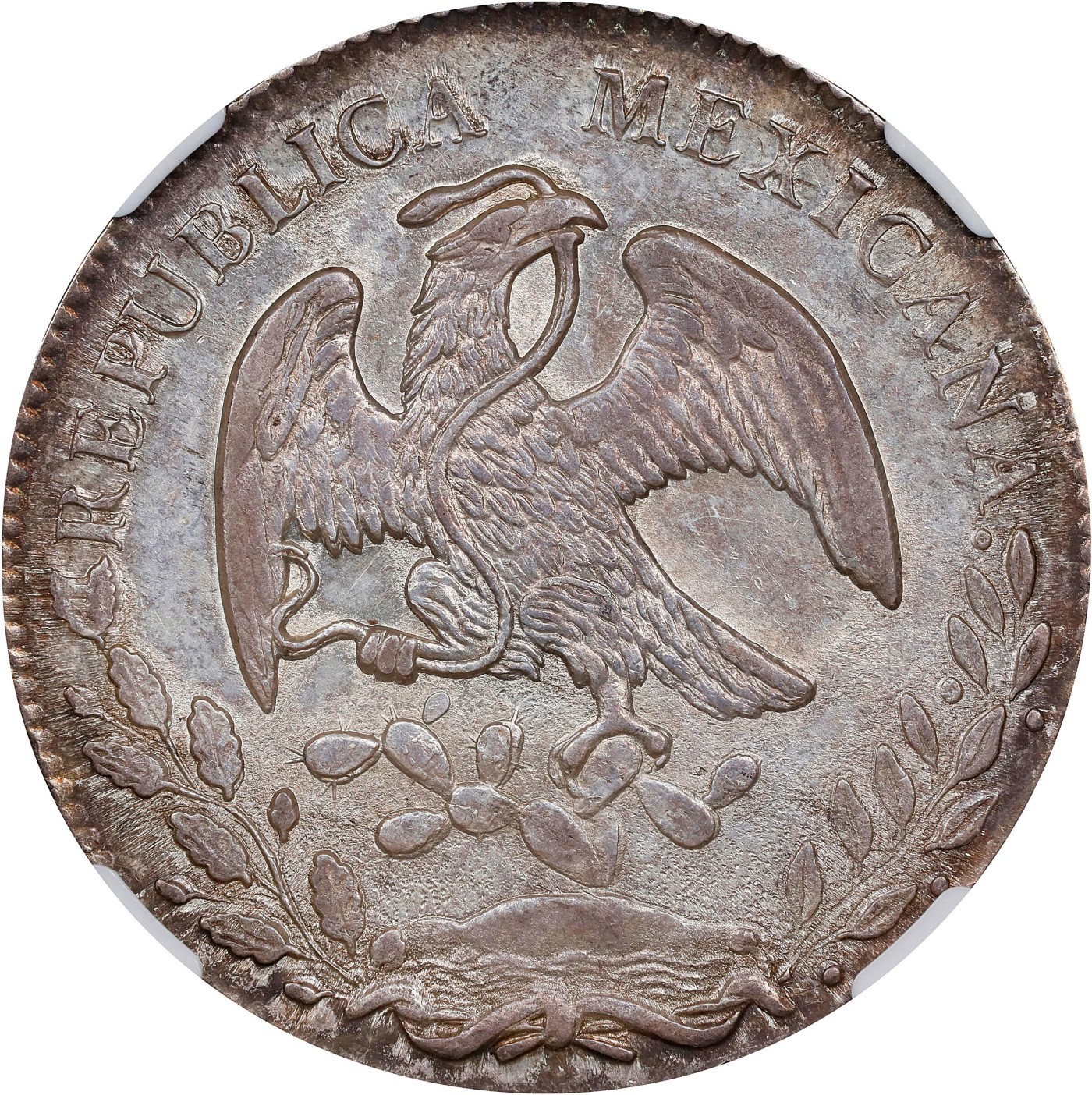 博洋堂世界钱币拍卖第056期（全场包邮） NGC MS63 墨西哥1860年MO TH版花边鹰洋，少见中期年份，传世倒影包浆，仙人掌有复打