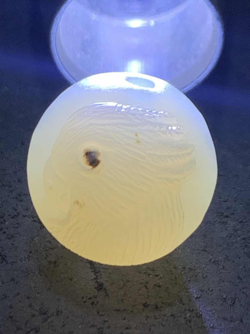精美高玉化亚光海洋玉髓手工俏色巧雕鹦鹉随形圆珠一个！