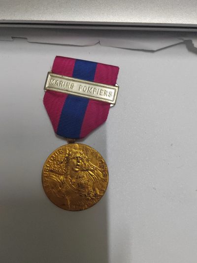 圣佩特罗拍卖（第八期） - 金级国功奖章