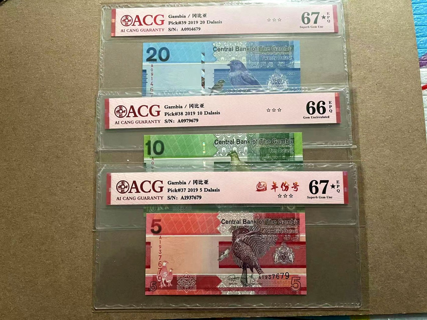 【Blue Auction】✨世界纸币精拍第406期【精】 【一组6张】冈比亚 2019年5-200达拉西 ACG68EPQ-66EPQ 