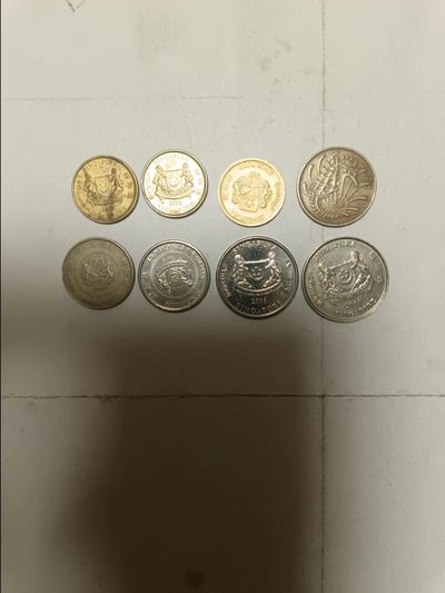 【20231217】非全新硬币第四场 - 新加坡硬币8枚