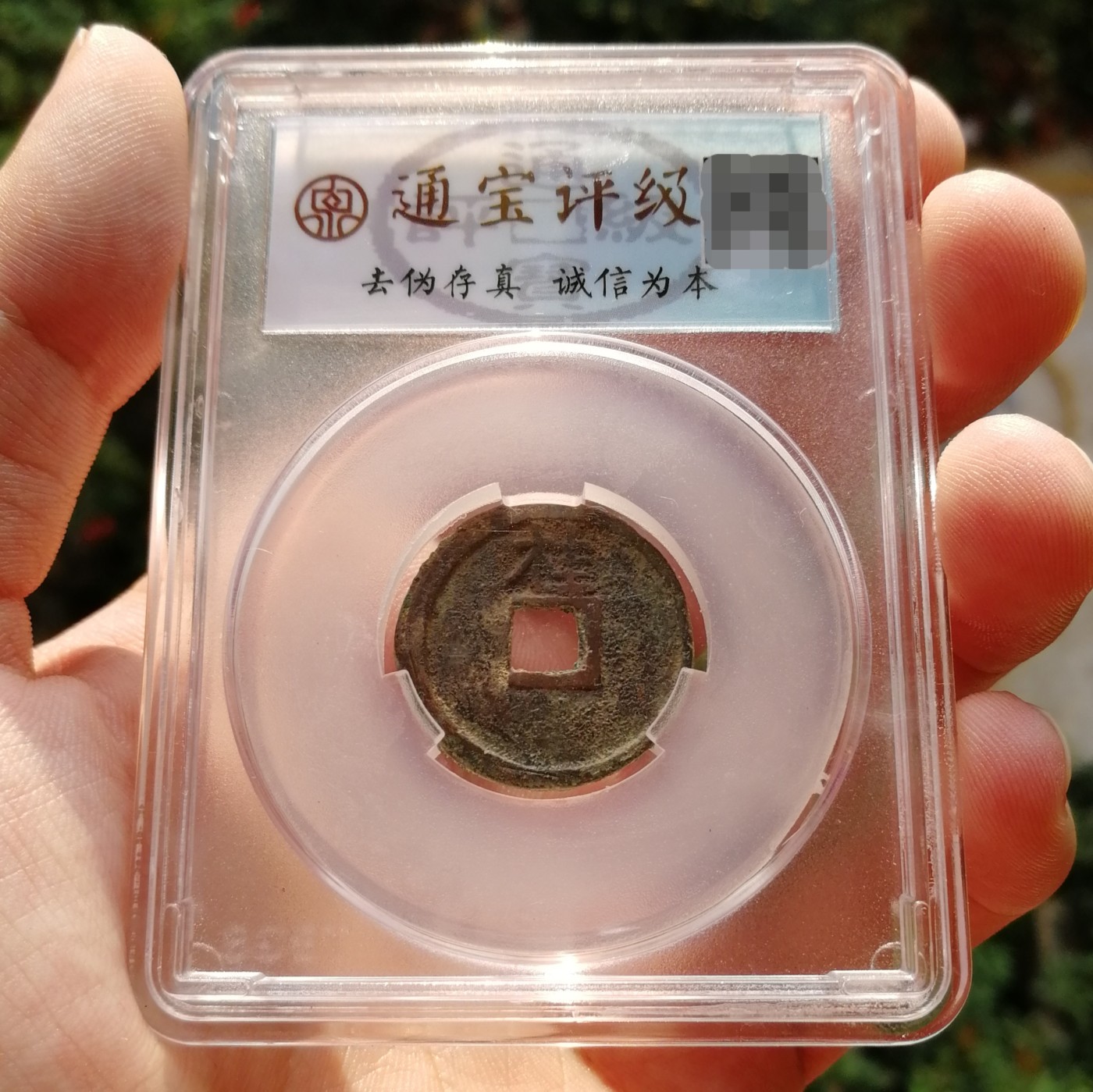 通宝评级80 洪武通宝背桂
