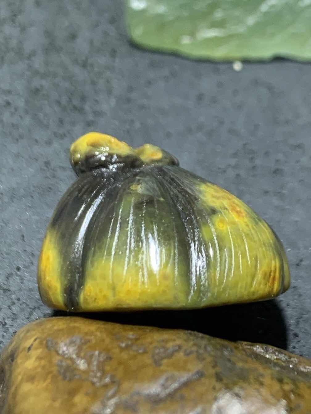 精美战国红玛瑙手工雕刻莲蓬吊坠一个，寓意：多子多福