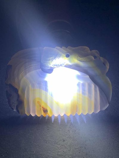 精美亚光高玉化巴西玛瑙手工雕刻凤凰梳形牌子一个， 精美亚光高玉化巴西玛瑙手工雕刻凤凰梳形牌子一个，