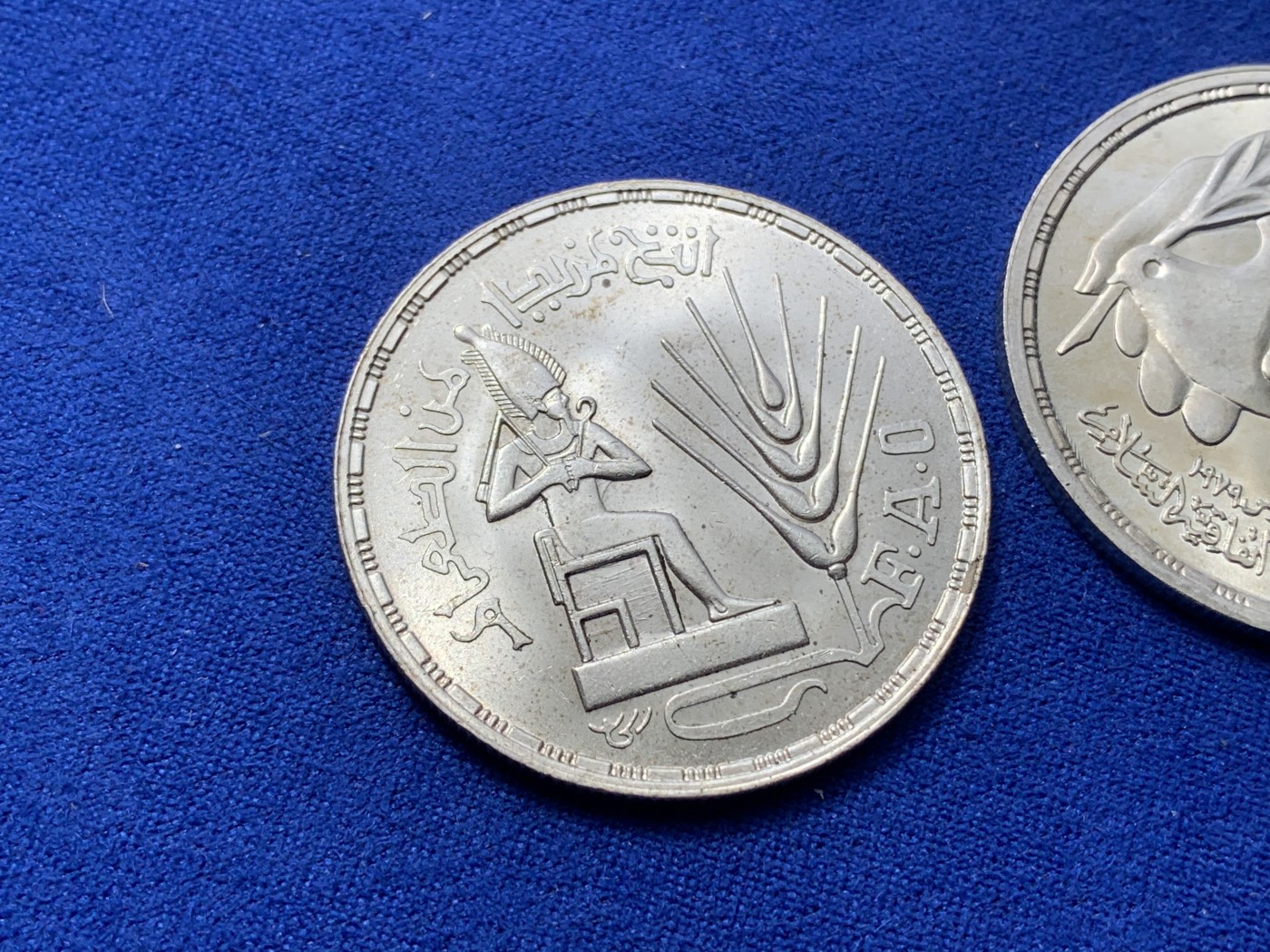 《竞宝斋》第224场-周日，周一，周二 3场 (全场包邮) 两枚一组 埃及1976年+1980年1镑银币