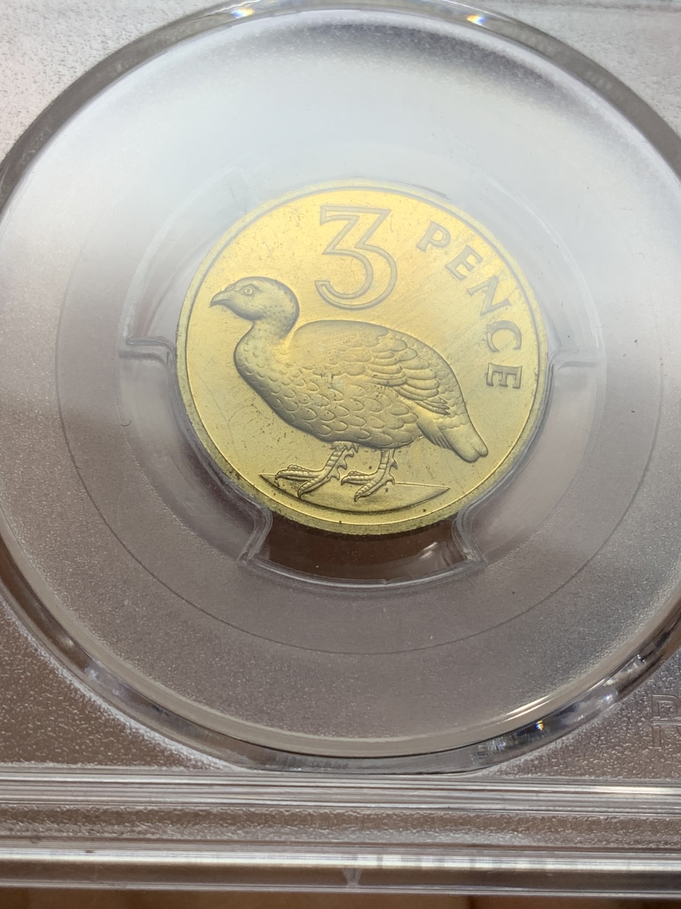 《竞宝斋》第224场-周日，周一，周二 3场 (全场包邮) PCGS金盾 PR65DCAM 冈比亚1966年3便士精制铜币