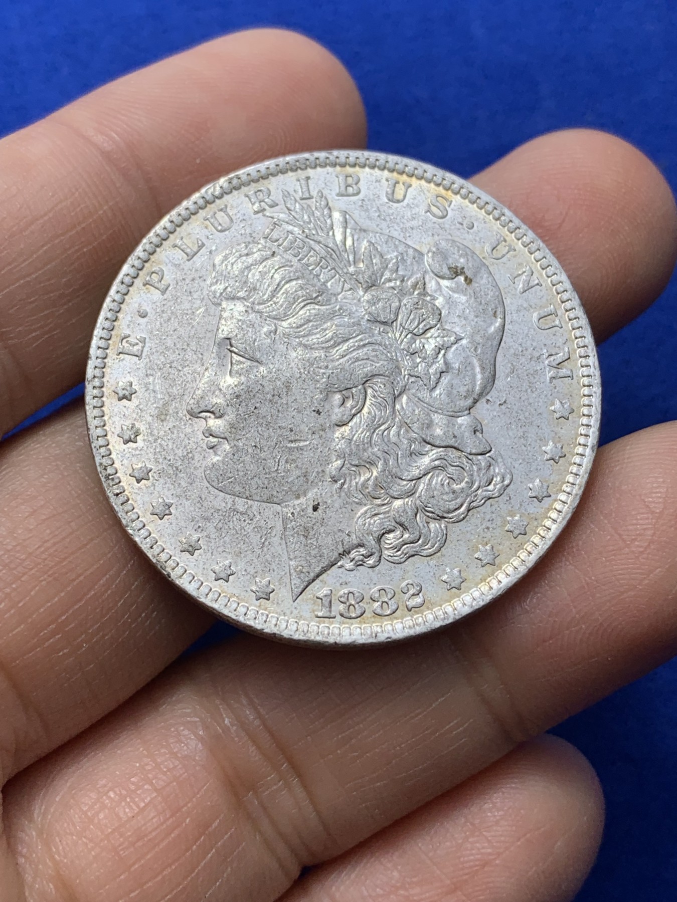 《竞宝斋》第224场-周日，周一，周二 3场 (全场包邮) 美国1882年摩根银币