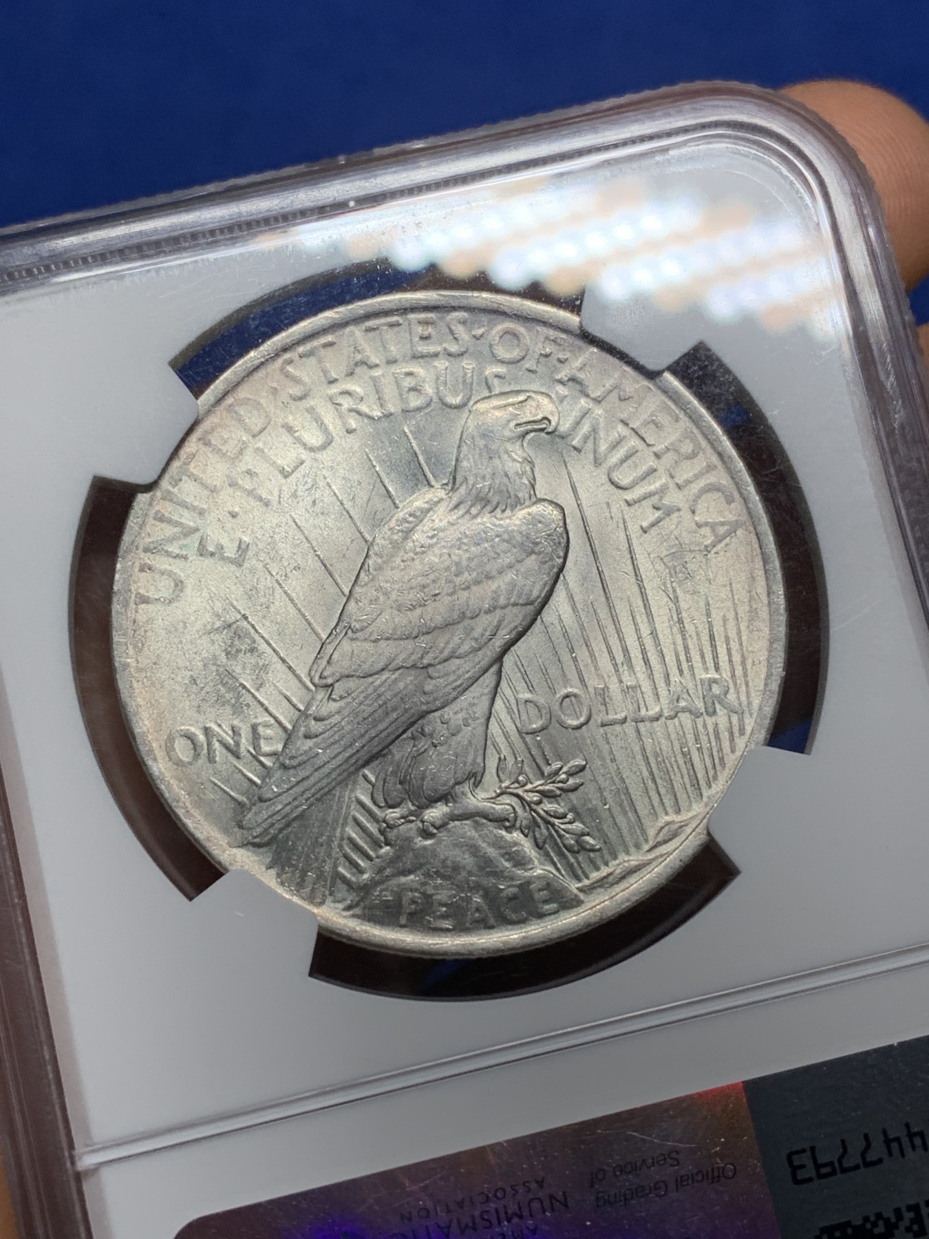 《竞宝斋》第224场-周日，周一，周二 3场 (全场包邮) NGC-MS61 1923年美国和平1美元银币 淡彩包浆