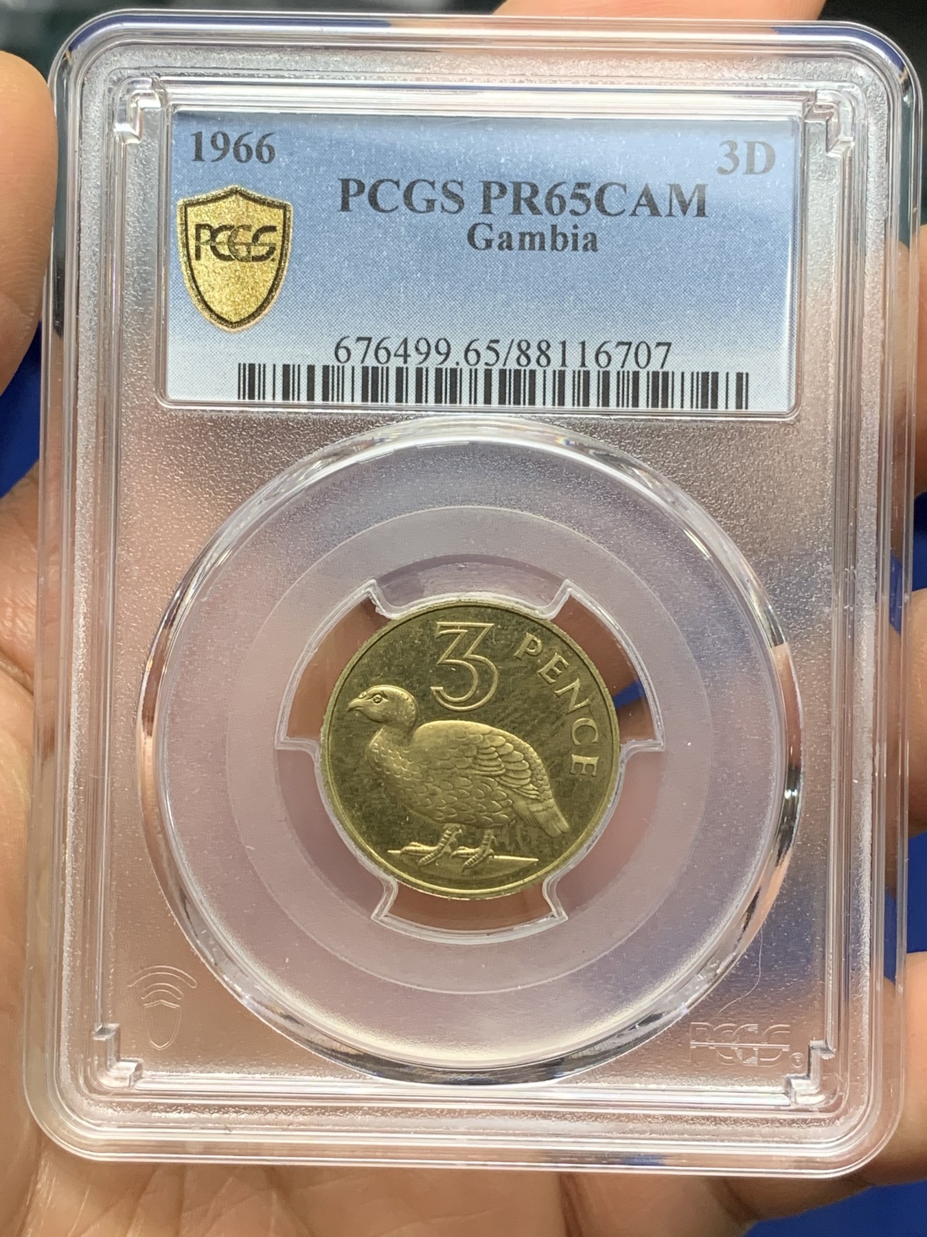 《竞宝斋》第224场-周日，周一，周二 3场 (全场包邮) PCGS金盾 PR65DCAM 冈比亚1966年3便士精制铜币