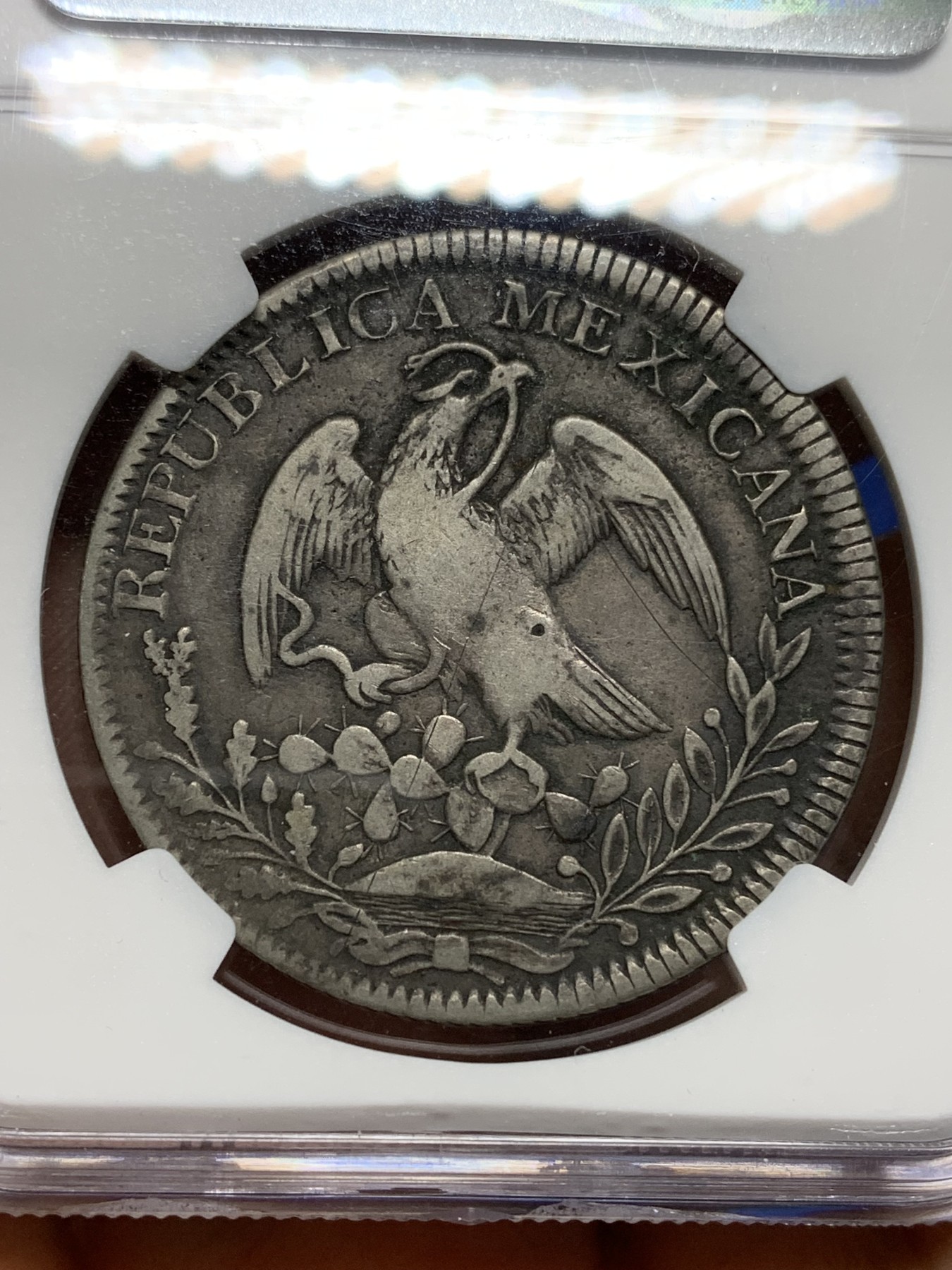 《竞宝斋》第224场-周日，周一，周二 3场 (全场包邮) NGC-VFD 墨西哥1842年鹰洋 罕见1841年鹰型章型币 鹰洋图谱三级版