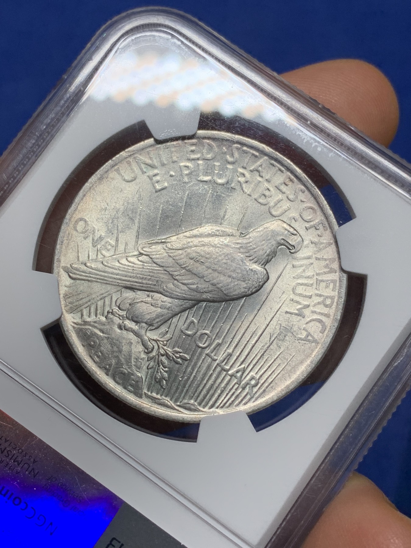 《竞宝斋》第224场-周日，周一，周二 3场 (全场包邮) NGC-MS61 1923年美国和平1美元银币 淡彩包浆