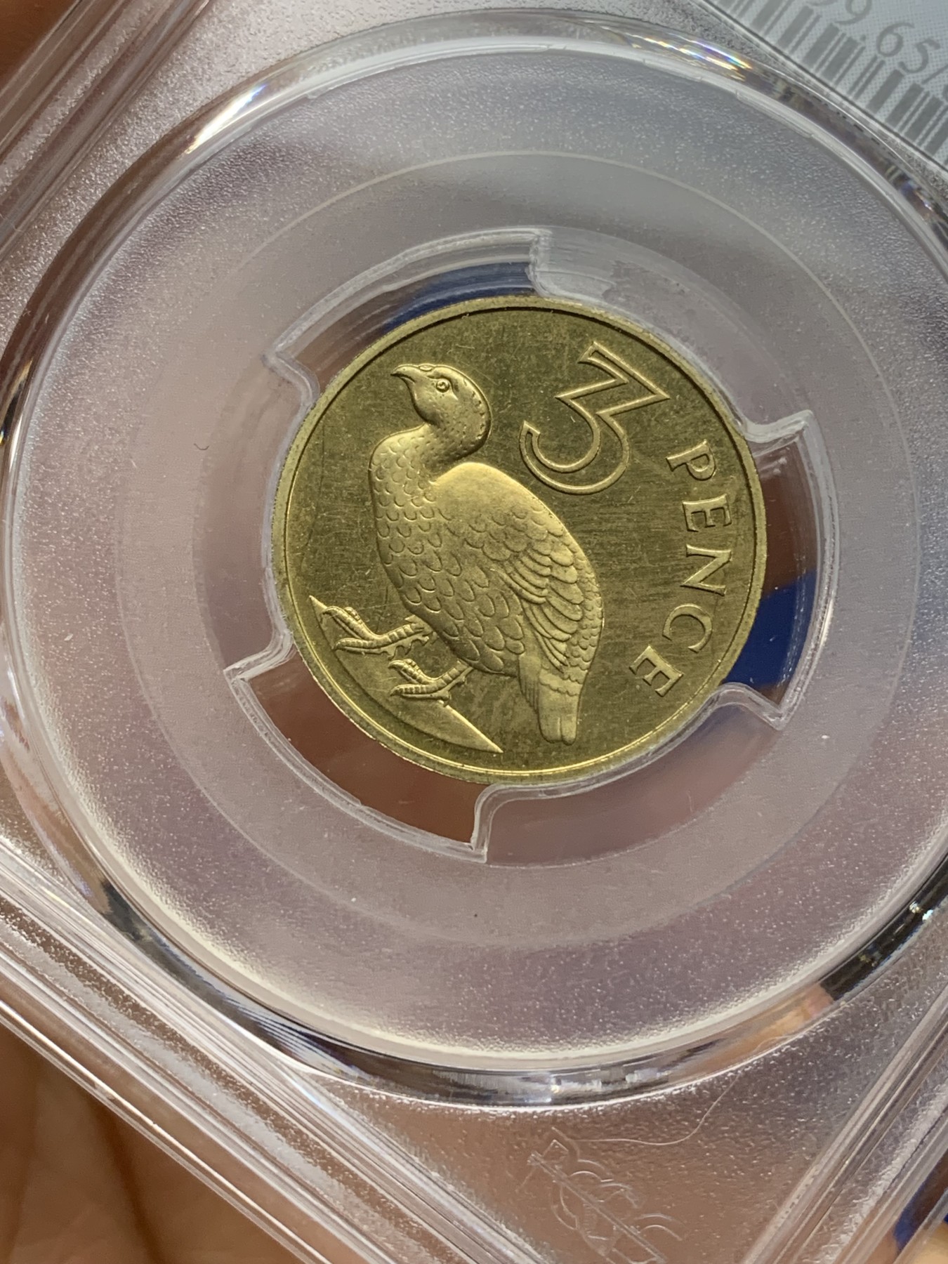 《竞宝斋》第224场-周日，周一，周二 3场 (全场包邮) PCGS金盾 PR65DCAM 冈比亚1966年3便士精制铜币