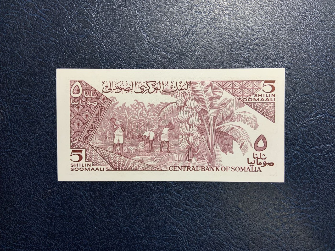 收藏联盟Quantum Auction 第312期拍卖  索马里1987年5先令 品相全新UNC 双面雕刻