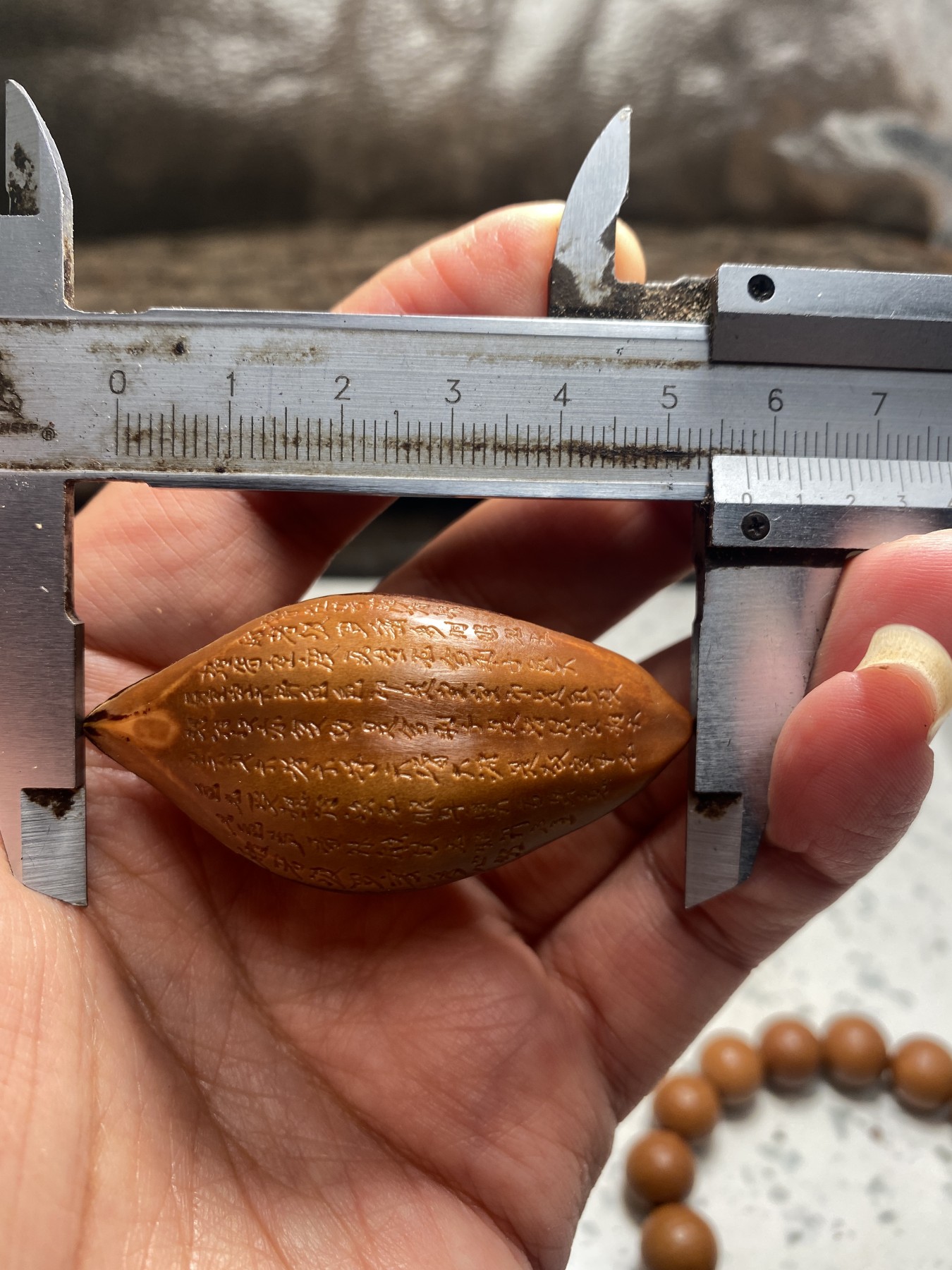 苏工核雕18年老工作室作品，诚信经营广交天下核友 福利苏工核雕纯手工巴西大核手作，般若，与众不同，非通货等待有缘人，尺寸2。7喜欢的来