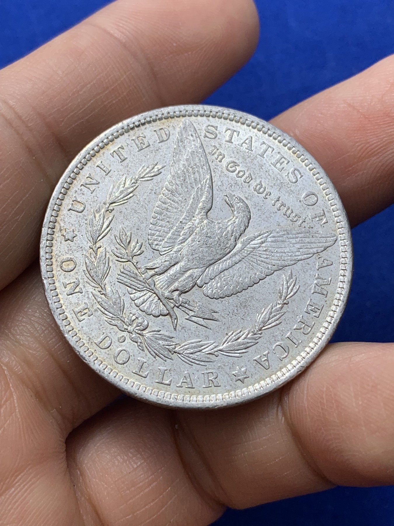 《竞宝斋》第224场-周日，周一，周二 3场 (全场包邮) 美国1882年摩根银币