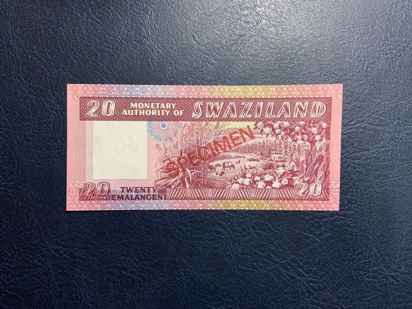 收藏联盟Quantum Auction 第312期拍卖  斯威士兰1974年10里兰吉尼收藏者样票 品相全新UNC