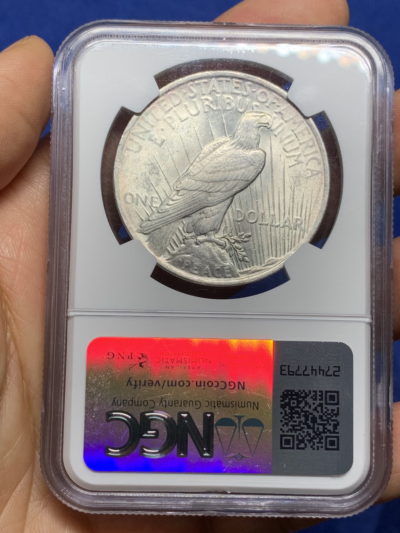 《竞宝斋》第224场-周日，周一，周二 3场 (全场包邮) NGC-MS61 1923年美国和平1美元银币 淡彩包浆