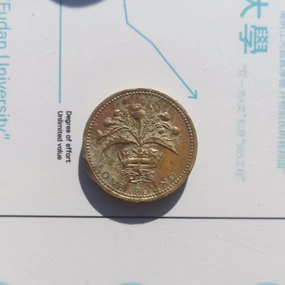 【易洋钱喜】第卅场 国外硬币专场 - 1984年，英国，花草，一英镑