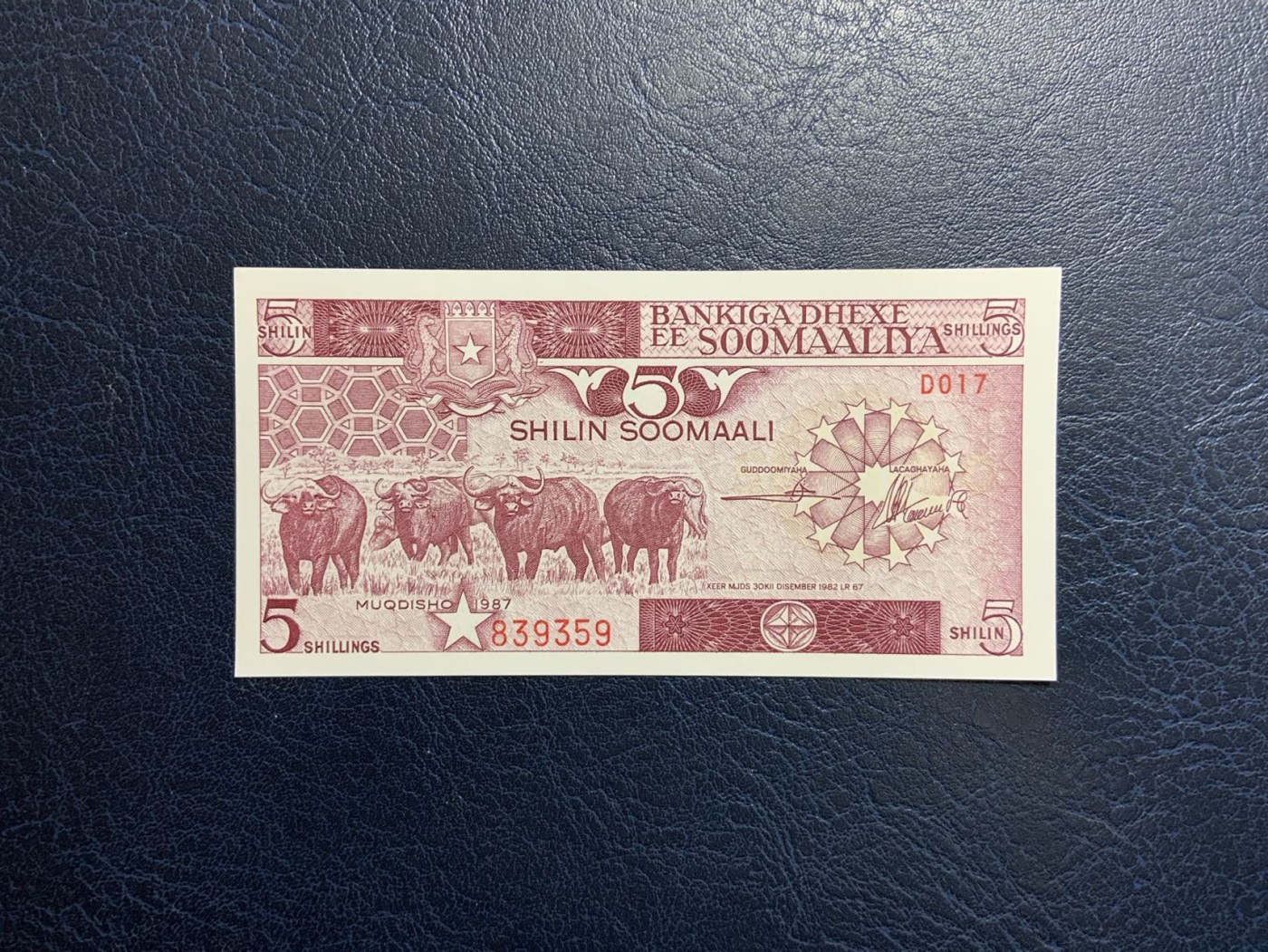 收藏联盟Quantum Auction 第312期拍卖  索马里1987年5先令 品相全新UNC 双面雕刻