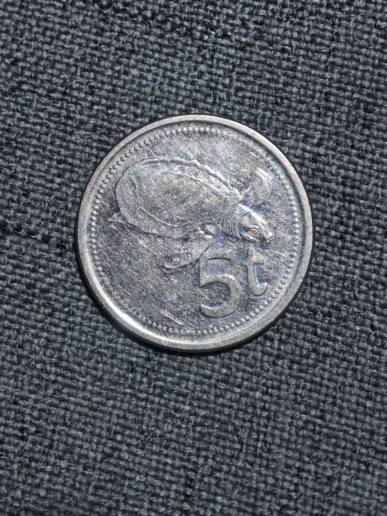 外国硬币收藏第5期 巴布亚新几内亚2004年海龟5分