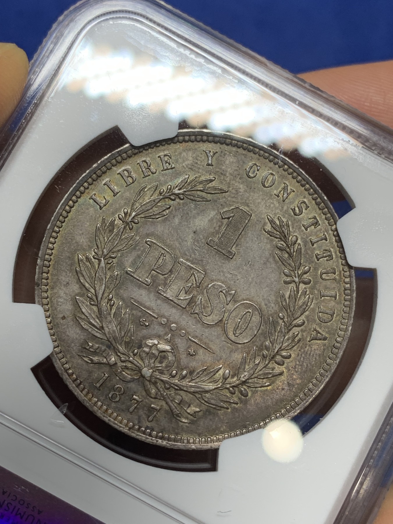 《竞宝斋》第224场-周日，周一，周二 3场 (全场包邮) NGC MS63 乌拉圭 1877年 国徽1比索 大银币 乌拉圭地缘所限 早期上MS的极少，XF的裸币成交价在1000左右，上升品种