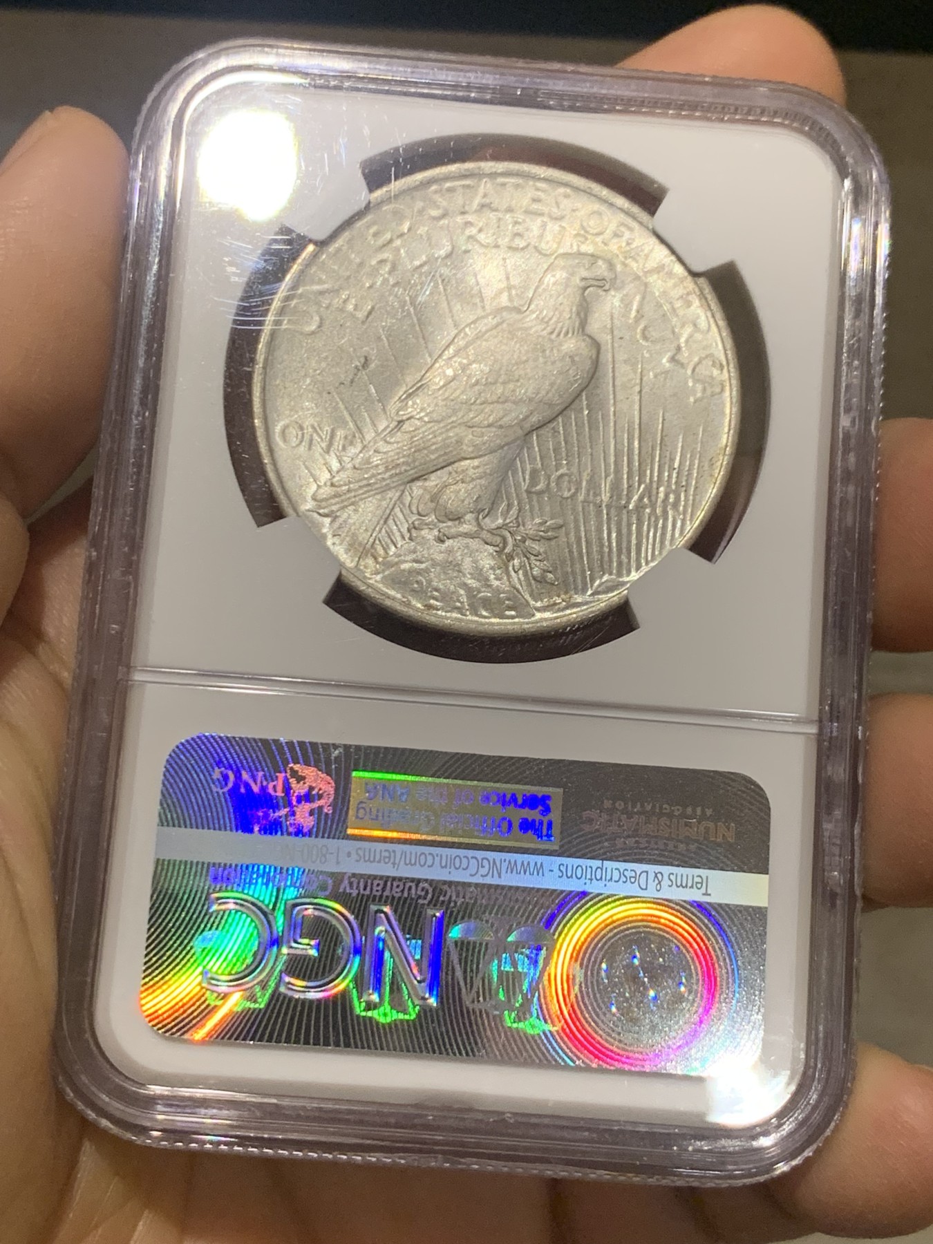 《竞宝斋》第224场-周日，周一，周二 3场 (全场包邮) NGC MS64 美国1923年和平银币