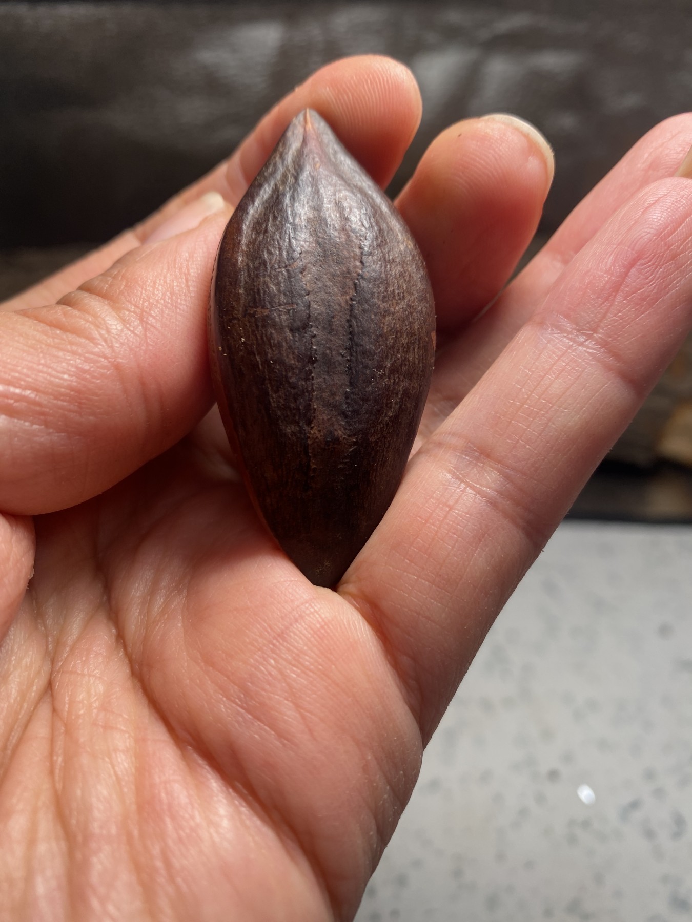 苏工核雕18年老工作室作品，诚信经营广交天下核友 福利苏工核雕纯手工巴西大核手作，般若，与众不同，非通货等待有缘人，尺寸2。7喜欢的来