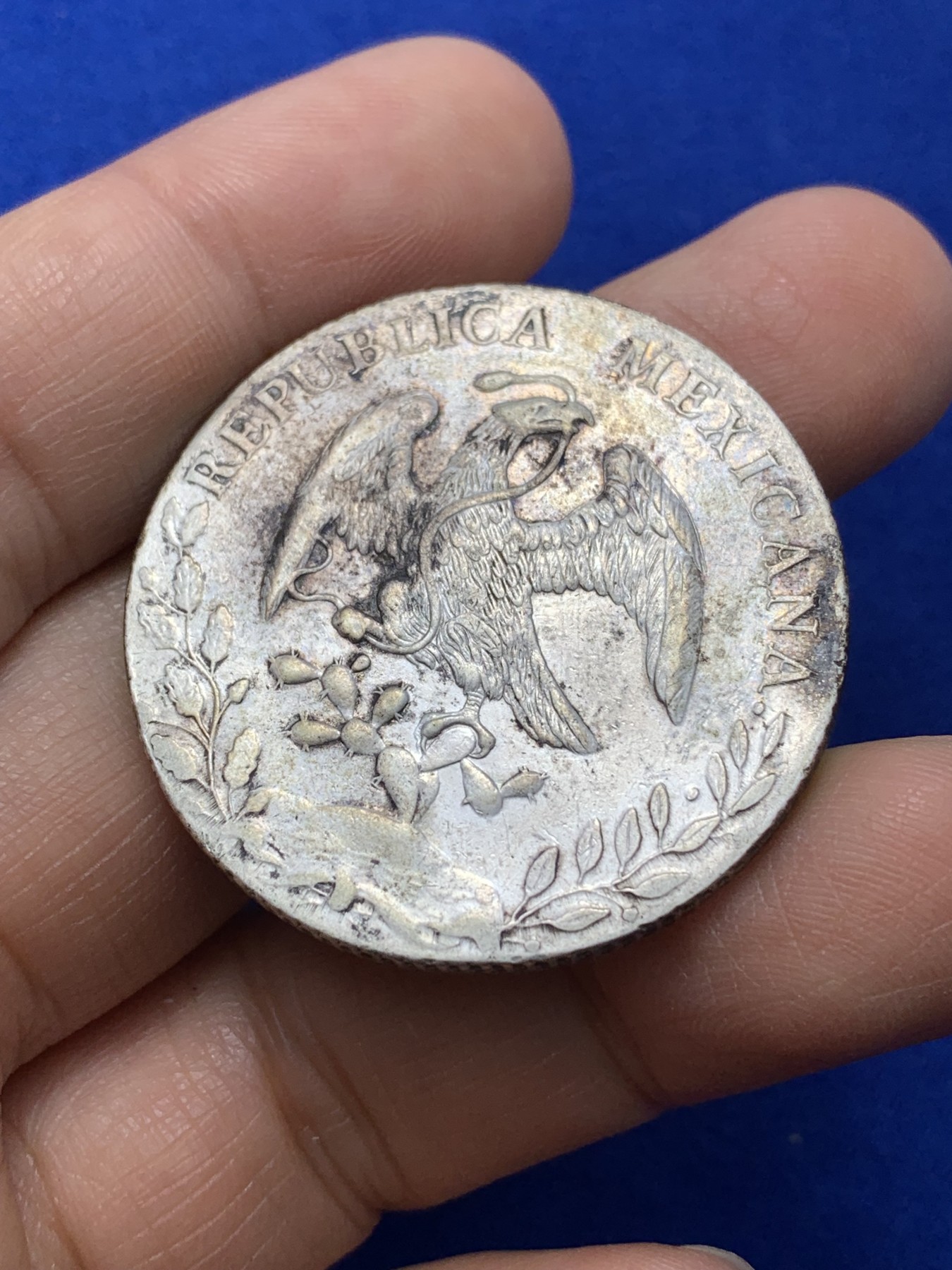 《竞宝斋》第224场-周日，周一，周二 3场 (全场包邮) 1890年墨西哥鹰洋 羽毛较好，底板带光