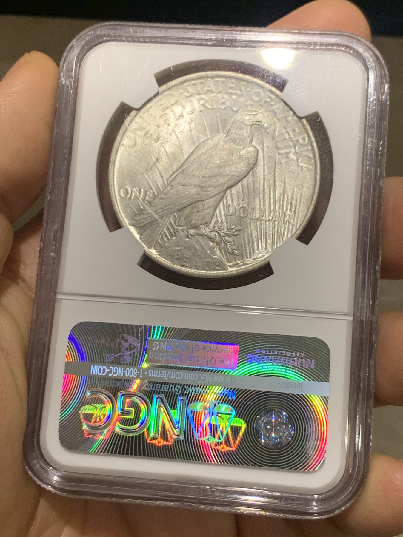 《竞宝斋》第224场-周日，周一，周二 3场 (全场包邮) NGC MS64 美国1923年和平银币