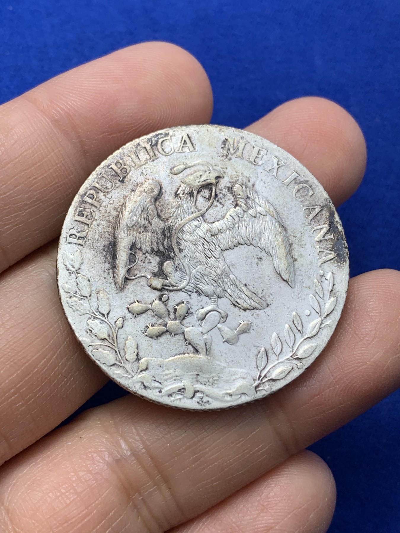 《竞宝斋》第224场-周日，周一，周二 3场 (全场包邮) 1890年墨西哥鹰洋 羽毛较好，底板带光