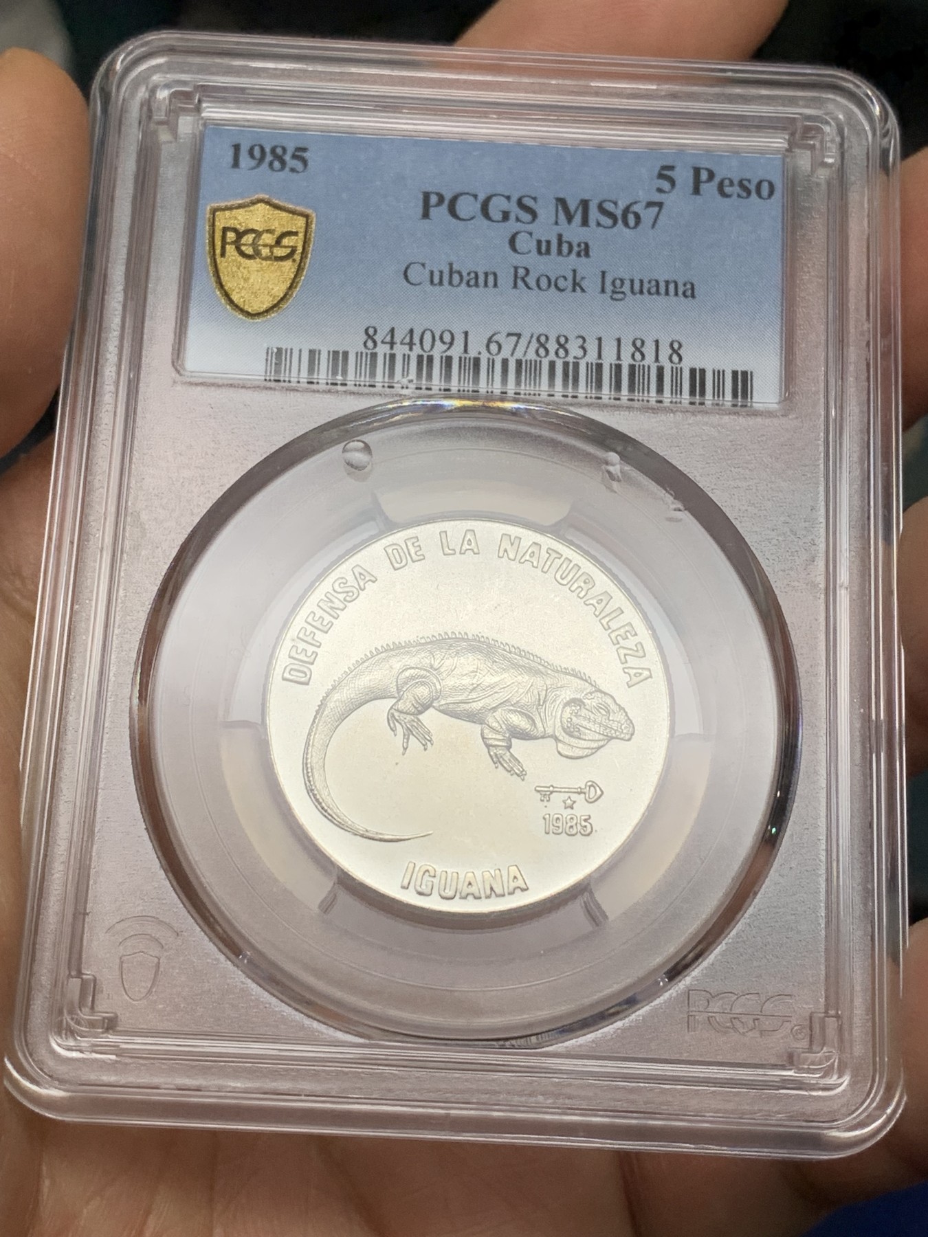 《竞宝斋》第224场-周日，周一，周二 3场 (全场包邮) PCGS-MS67 1985古巴5比索动物币  80年代普制币能到67亚军分已不容易