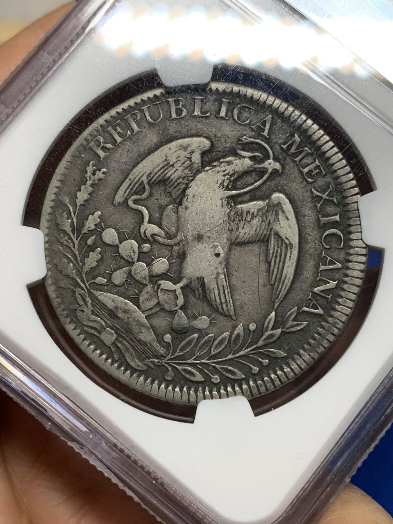 《竞宝斋》第224场-周日，周一，周二 3场 (全场包邮) NGC-VFD 墨西哥1842年鹰洋 罕见1841年鹰型章型币 鹰洋图谱三级版