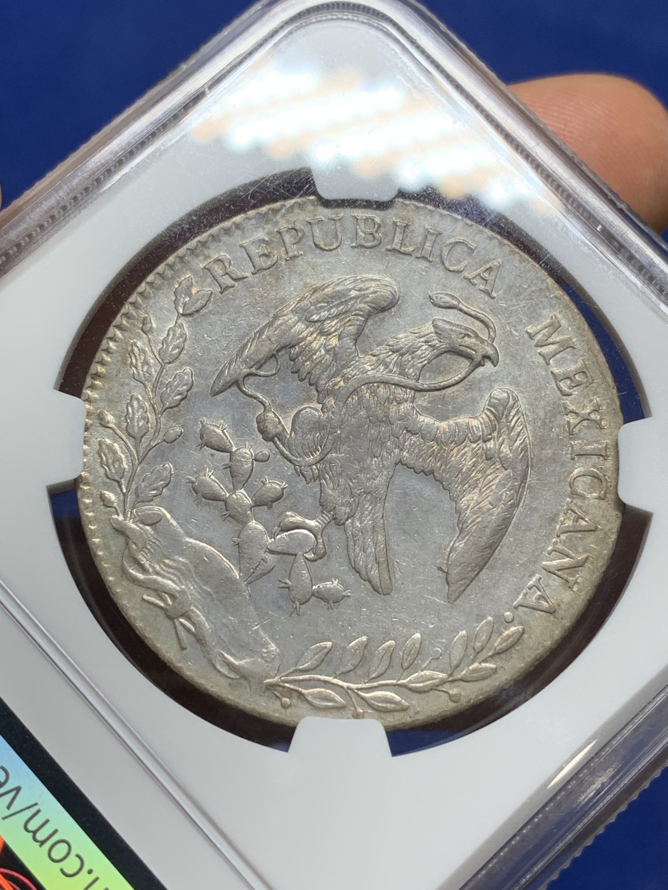 《竞宝斋》第224场-周日，周一，周二 3场 (全场包邮) NGC-AU53 墨西哥 1896年 8R 花边鹰洋 银币 GO RS 深打 状态好