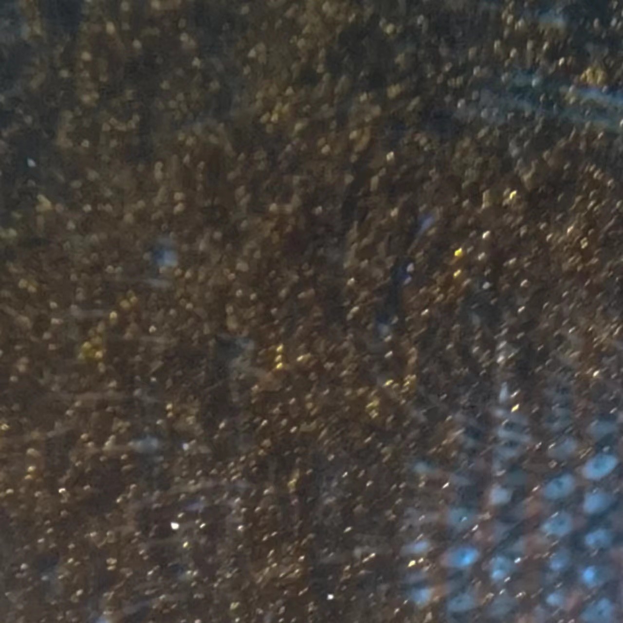 一线荧光币第345期拍场 爱藏评级8001DQ8655金满堂背红，双面金沙，难寻稀少好货，实物非常漂亮，DQ86556392，全程无四七，评级币单张，数量有限，喜欢的朋友一定不要错过