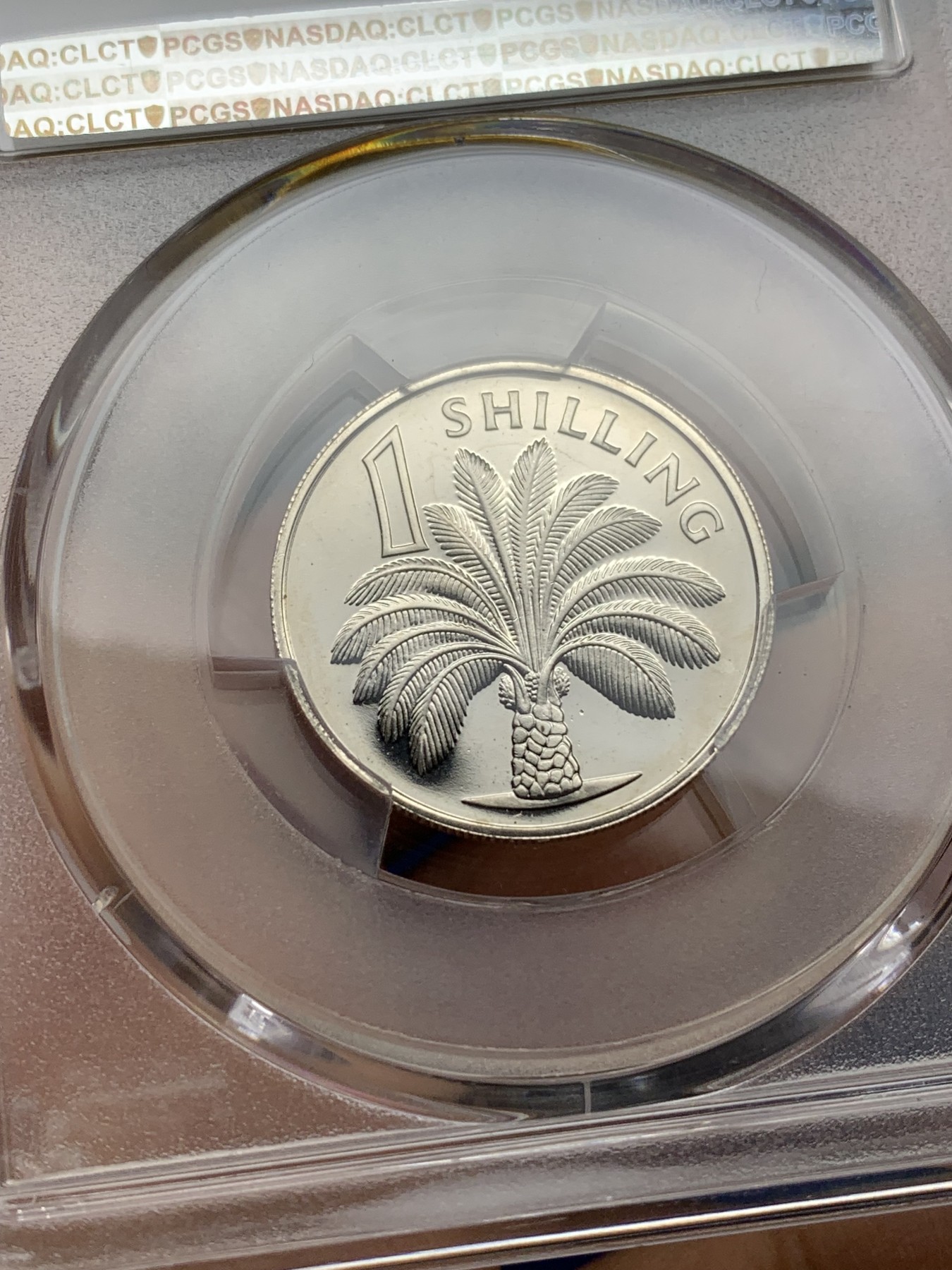 《竞宝斋》第225场-周日，周一，周二 3场 (全场包邮) PCGS金盾 PR65DCAM 冈比亚1966年棕榈树1先令精制镍币