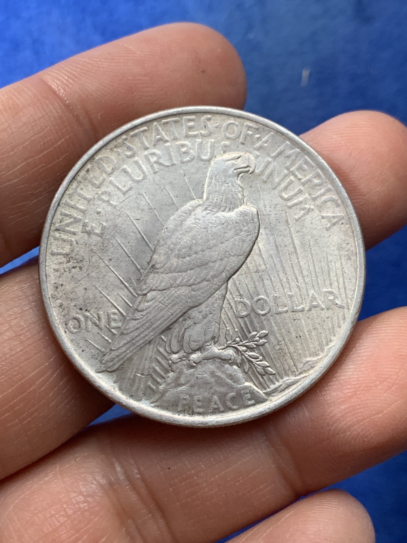 《竞宝斋》第225场-周日，周一，周二 3场 (全场包邮) 美国1922年和平鸽1美元银币