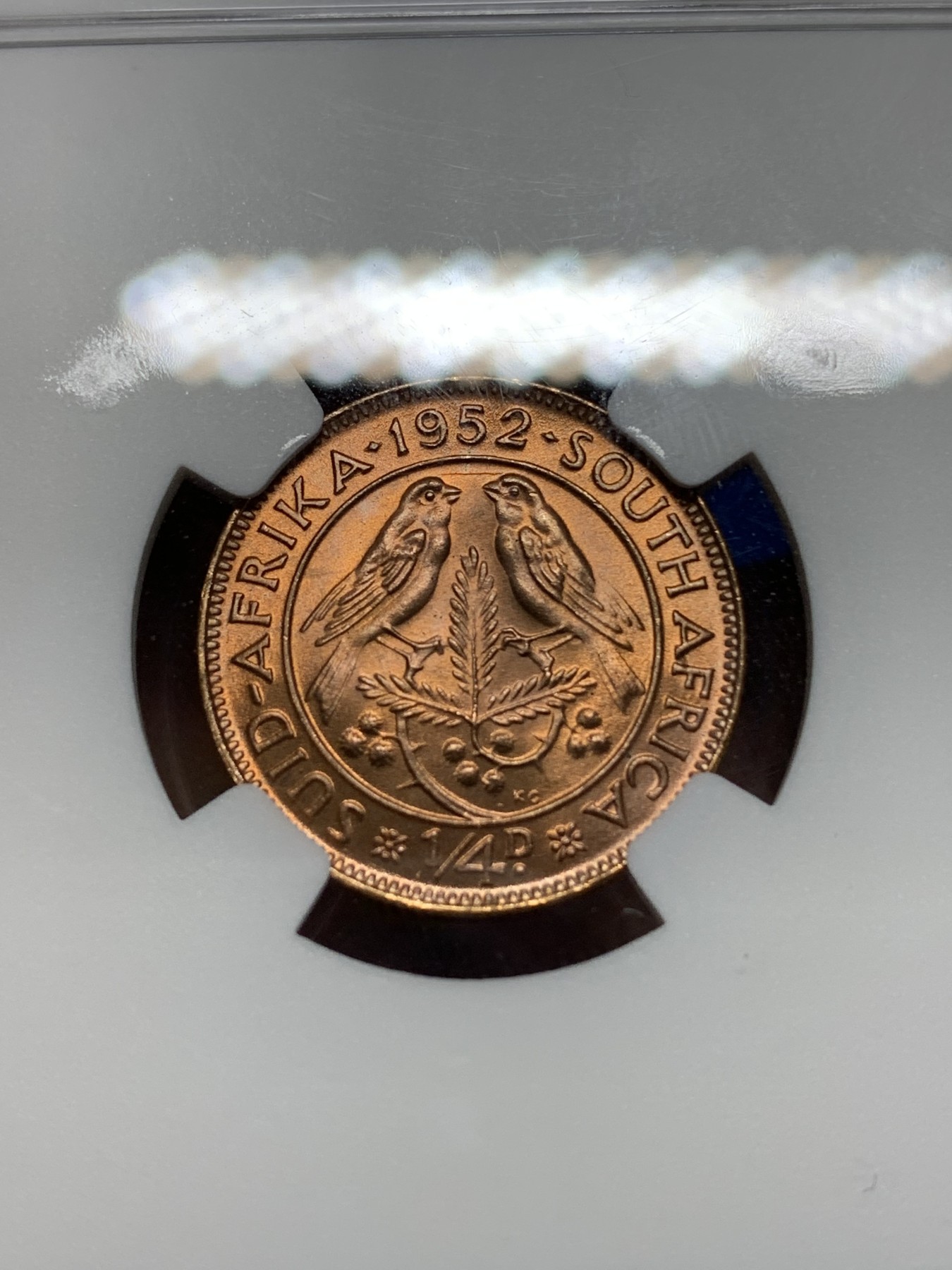 《竞宝斋》第225场-周日，周一，周二 3场 (全场包邮) NGC-MS65 乔六1952年英属南非1/4P铜币，光度好收藏一步到位